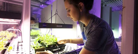 Payton Barnwell tending seedling trays under a NASA grow-light rig.